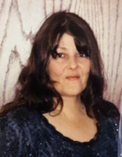 Dianne Stapleford Obituary, Wausaukee, WI